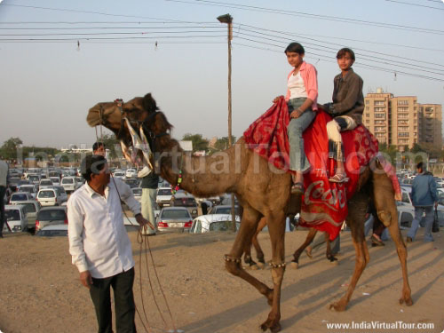 Children enjoying camel ride