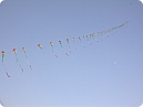 A row of kites in the colors of flag of India