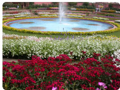 Circular Garden