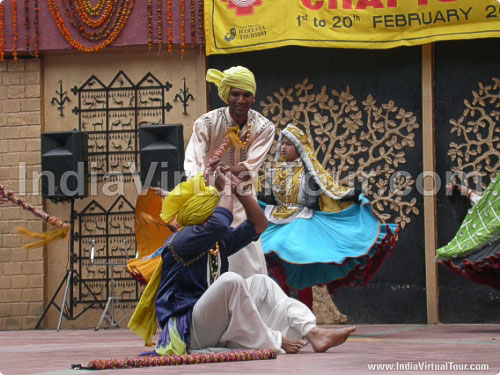 Artists from Haryana