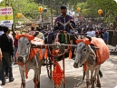 A joy ride in fair