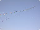 A row of kites in the colors of flag of India