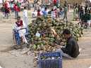 Time for coconut water to chill yourself