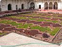 Angoori Bagh, Grapes Garden